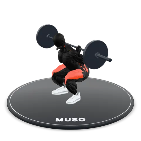 Back Squat 3D model