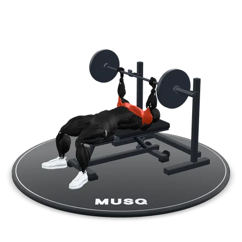 Barbell Bench Press 3D model