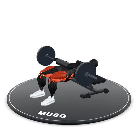 Barbell Hip Thrust 3D model