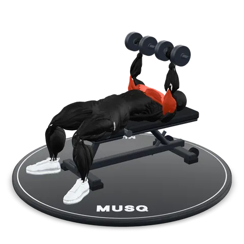 Dumbbell Bench Press 3D model
