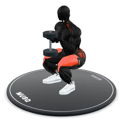 Goblet Squat 3D model