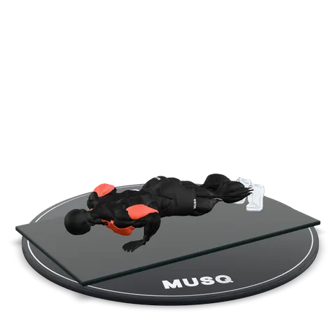 Push-Up 3D model